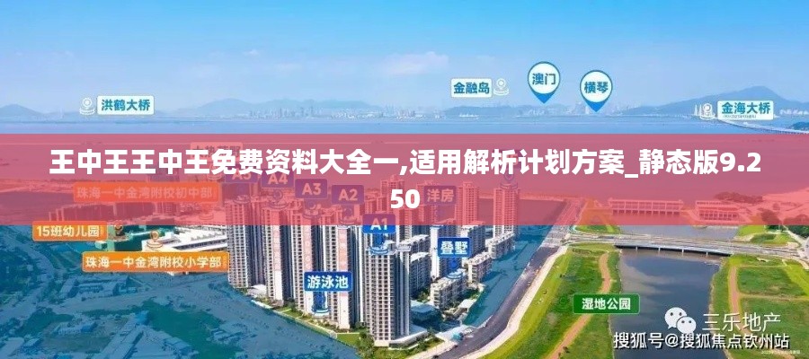 王中王王中王免费资料大全一,适用解析计划方案_静态版9.250