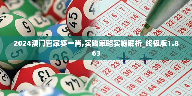 2024澳门管家婆一肖,实践策略实施解析_终极版1.863