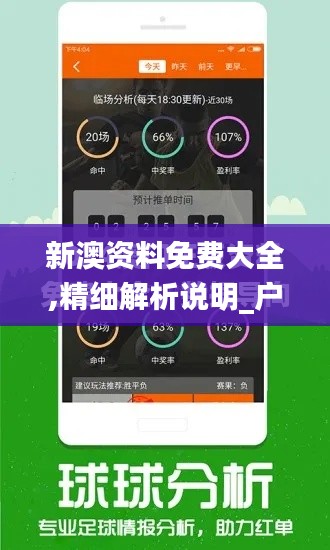 新澳资料免费大全,精细解析说明_户外版8.837