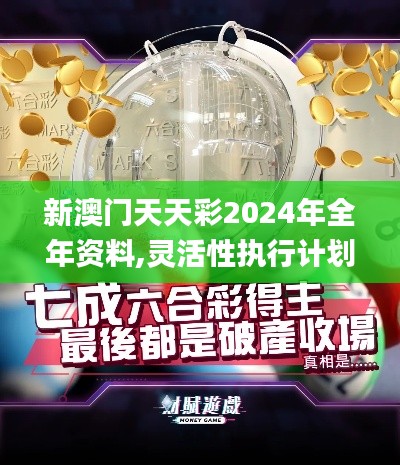 新澳门天天彩2024年全年资料,灵活性执行计划_特供版15.606