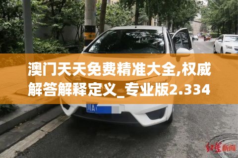 澳门天天免费精准大全,权威解答解释定义_专业版2.334