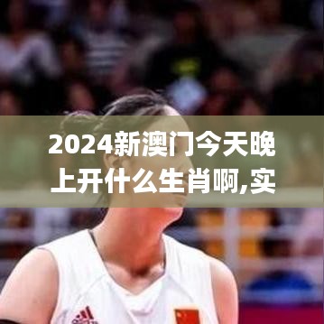 2024新澳门今天晚上开什么生肖啊,实地验证分析策略_Max1.116