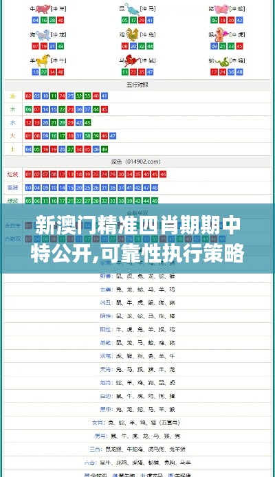 新澳门精准四肖期期中特公开,可靠性执行策略_OP4.895