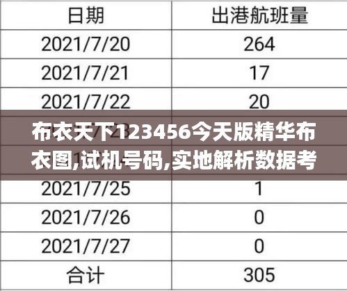 百鸟归巢