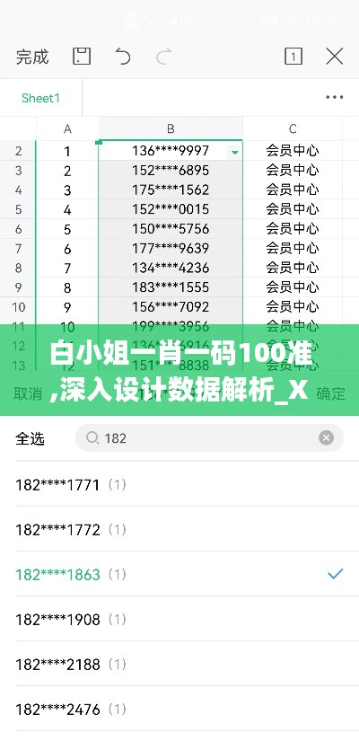 白小姐一肖一码100准,深入设计数据解析_XE版8.430