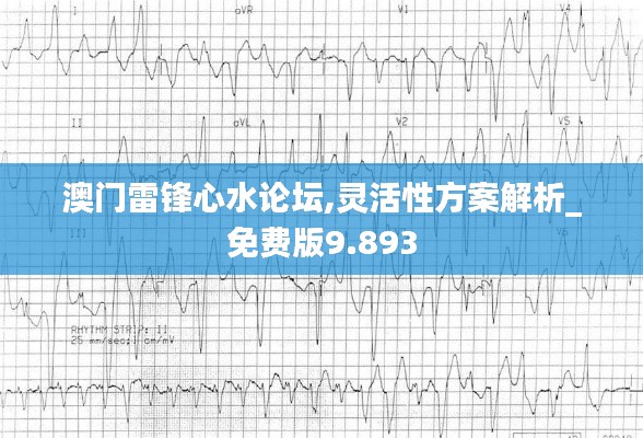澳门雷锋心水论坛,灵活性方案解析_免费版9.893
