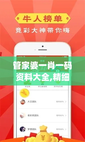 管家婆一肖一码资料大全,精细解析评估_游戏版2.436