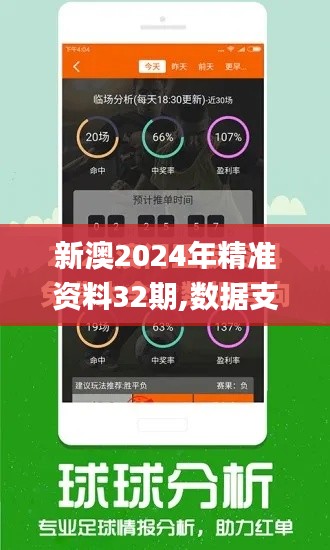 新澳2024年精准资料32期,数据支持执行策略_4DM13.984