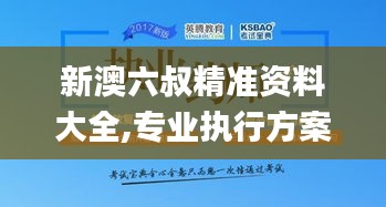 新澳六叔精准资料大全,专业执行方案_创新版3.410
