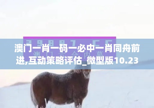 澳门一肖一码一必中一肖同舟前进,互动策略评估_微型版10.239