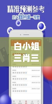 白小姐三肖三码必中生肖,实效设计方案_mShop7.101
