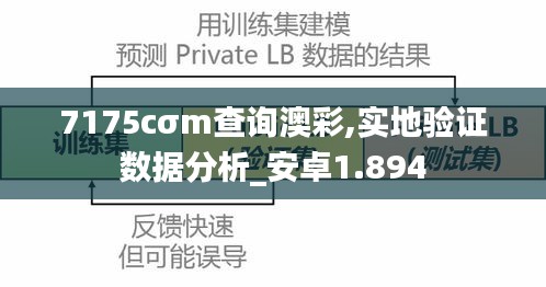 7175cσm查询澳彩,实地验证数据分析_安卓1.894