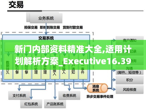 新门内部资料精准大全,适用计划解析方案_Executive16.390