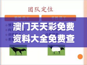 澳门天天彩免费资料大全免费查询狼披羊皮,功能性操作方案制定_DX版4.182