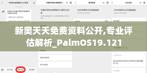 新奥天天免费资料公开,专业评估解析_PalmOS19.121