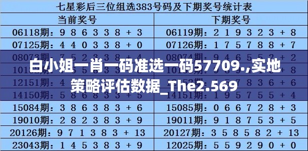 白小姐一肖一码准选一码57709.,实地策略评估数据_The2.569