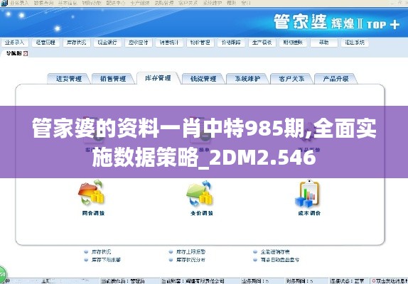管家婆的资料一肖中特985期,全面实施数据策略_2DM2.546