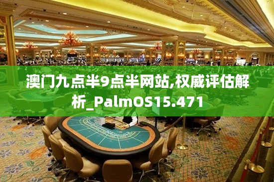 澳门九点半9点半网站,权威评估解析_PalmOS15.471