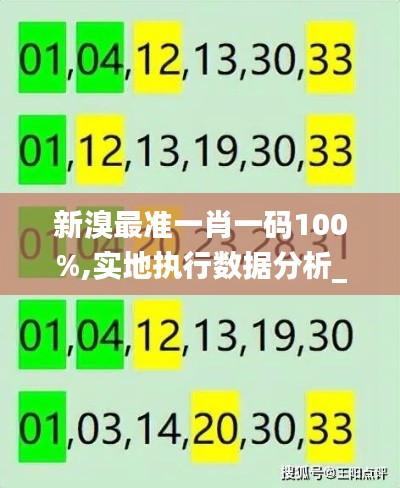 新溴最准一肖一码100%,实地执行数据分析_MT8.724