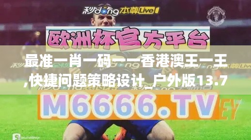 最准一肖一码一一香港澳王一王,快捷问题策略设计_户外版13.765