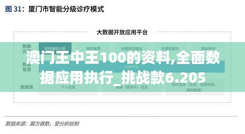 澳门王中王100的资料,全面数据应用执行_挑战款6.205