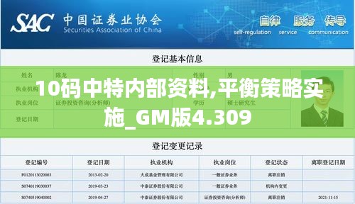 10码中特内部资料,平衡策略实施_GM版4.309