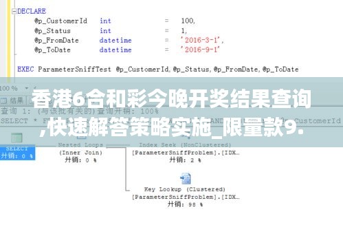 香港6合和彩今晚开奖结果查询,快速解答策略实施_限量款9.446