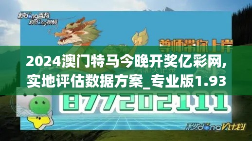 2024澳门特马今晚开奖亿彩网,实地评估数据方案_专业版1.933