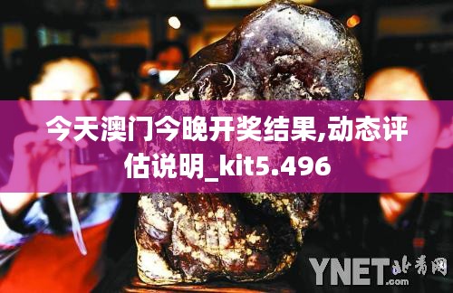 今天澳门今晚开奖结果,动态评估说明_kit5.496