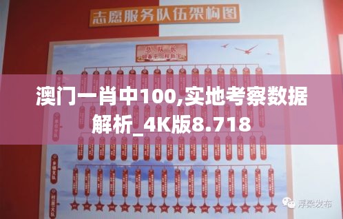 澳门一肖中100,实地考察数据解析_4K版8.718
