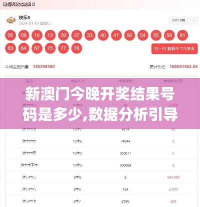 新澳门今晚开奖结果号码是多少,数据分析引导决策_交互版14.263
