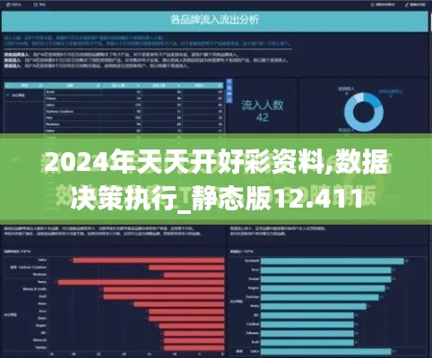 2024年天天开好彩资料,数据决策执行_静态版12.411