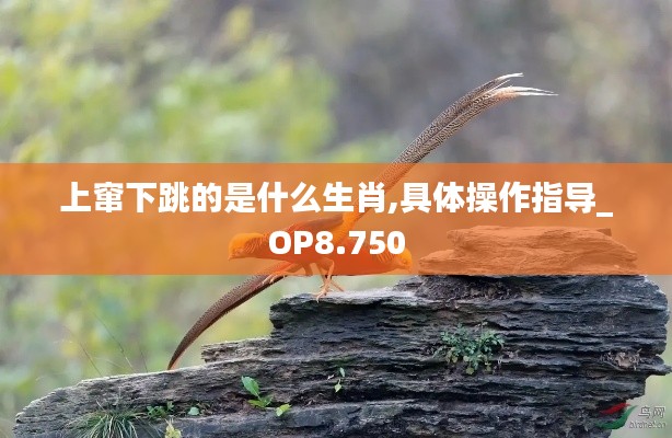 上窜下跳的是什么生肖,具体操作指导_OP8.750