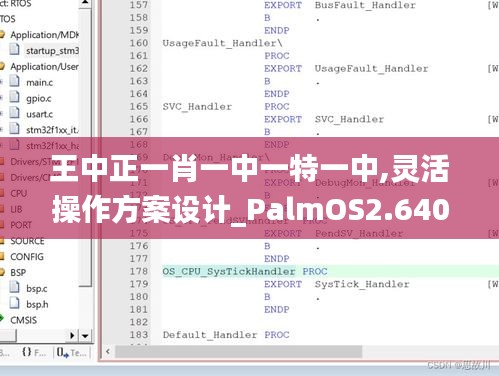 王中正一肖一中一特一中,灵活操作方案设计_PalmOS2.640