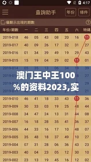 澳门王中王100%的资料2023,实际数据说明_潮流版6.271