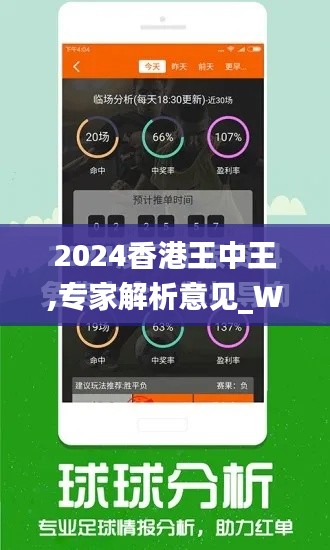 2024香港王中王,专家解析意见_WearOS4.426