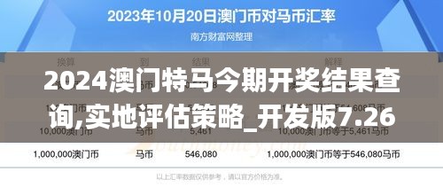 2024澳门特马今期开奖结果查询,实地评估策略_开发版7.260