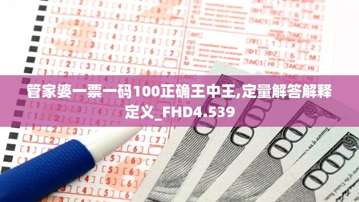 管家婆一票一码100正确王中王,定量解答解释定义_FHD4.539