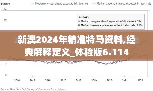 新澳2024年精准特马资料,经典解释定义_体验版6.114