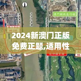 2024新澳门正版免费正题,适用性方案解析_S4.196
