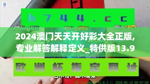 2024澳门天天开好彩大全正版,专业解答解释定义_特供版13.958