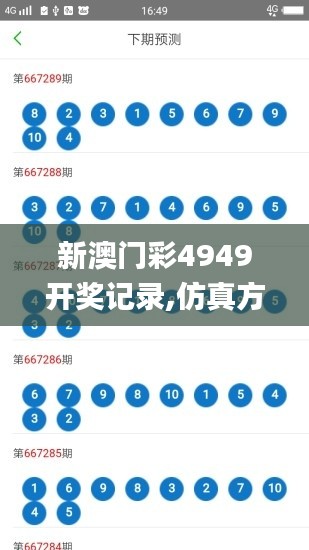 新澳门彩4949开奖记录,仿真方案实现_Galaxy9.976
