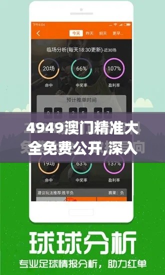 4949澳门精准大全免费公开,深入执行方案数据_RemixOS5.954