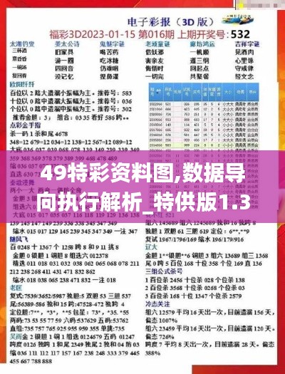 49特彩资料图,数据导向执行解析_特供版1.344