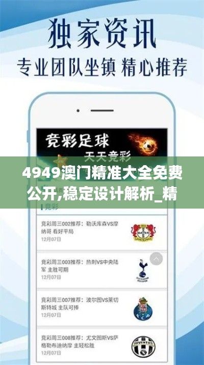 4949澳门精准大全免费公开,稳定设计解析_精简版4.498