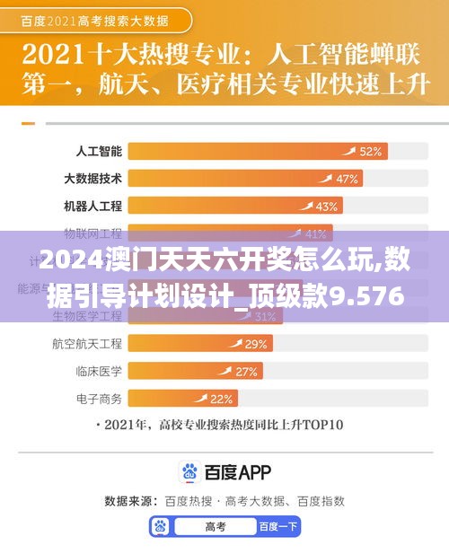 2024澳门天天六开奖怎么玩,数据引导计划设计_顶级款9.576