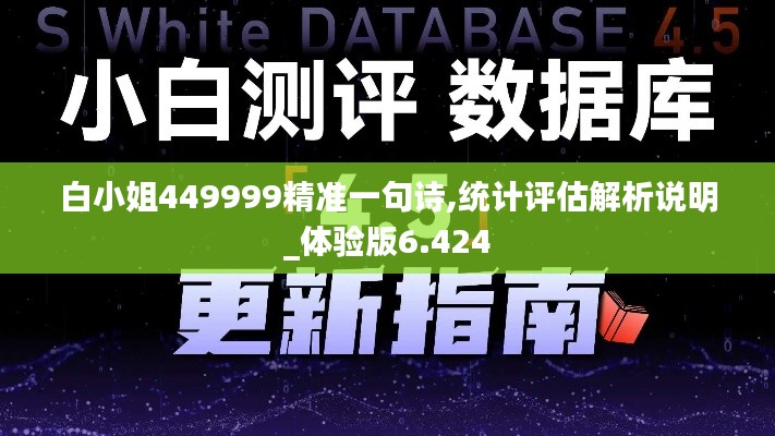 白小姐449999精准一句诗,统计评估解析说明_体验版6.424