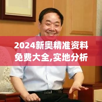2024新奥精准资料免费大全,实地分析数据计划_铂金版6.772