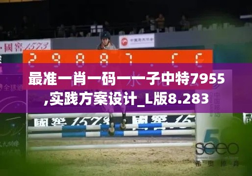 最准一肖一码一一子中特7955,实践方案设计_L版8.283