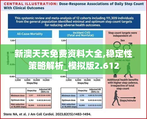新澳天天免费资料大全,稳定性策略解析_模拟版2.612